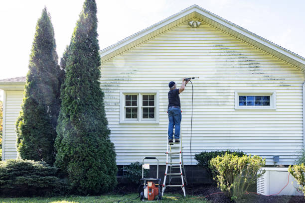 Best Roof Washing  in Lino Lakes, MN